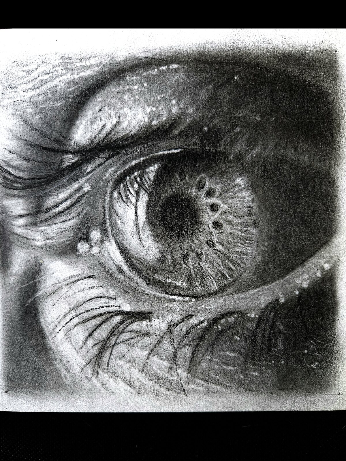 Detailed drawing of an eye