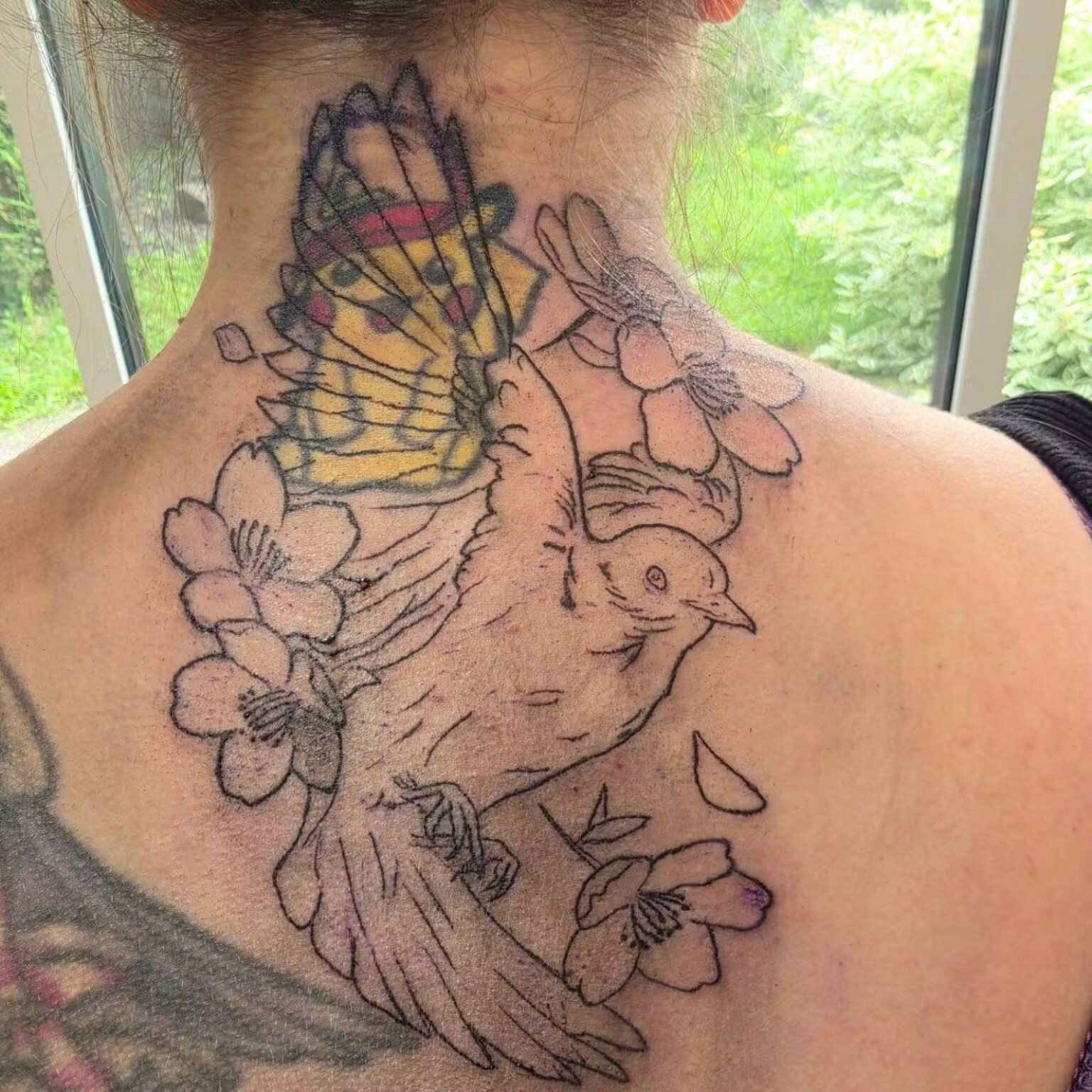 Older bird tattoo before rework